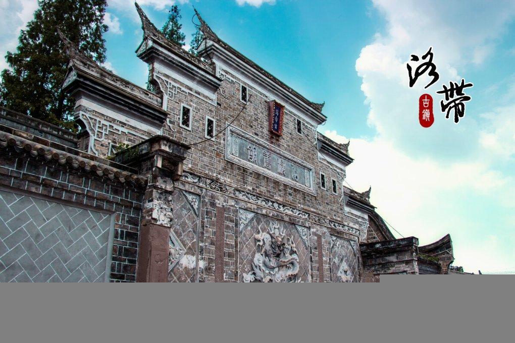 救援小孔雀